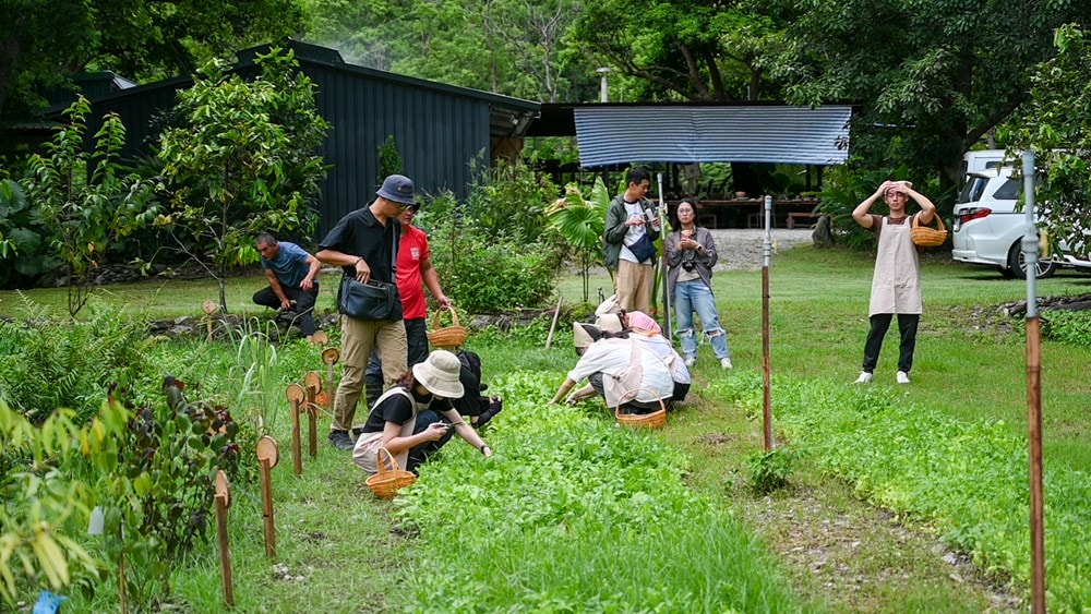 原野香憩，舌尖上的臺東風土食旅，療癒香氛、星空餐桌、龍田走讀、手做料理、五感品茶體驗，南島療癒旅行!