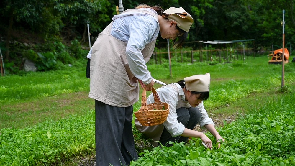 原野香憩，舌尖上的臺東風土食旅，療癒香氛、星空餐桌、龍田走讀、手做料理、五感品茶體驗，南島療癒旅行!