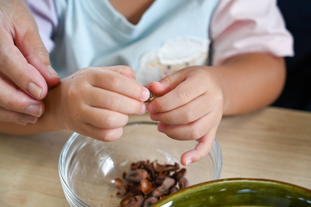屏東可可巧克力園區半日遊 | 親子摘果體驗、可可冰淇淋&多肉療癒植栽DIY，可可覓境咖啡廳 濃濃可可冰沙、可可風味套餐，屏東旅遊景點半日遊!