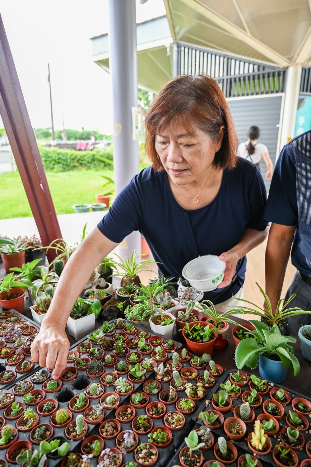 屏東可可巧克力園區半日遊 | 親子摘果體驗、可可冰淇淋&多肉療癒植栽DIY，可可覓境咖啡廳 濃濃可可冰沙、可可風味套餐，屏東旅遊景點半日遊!