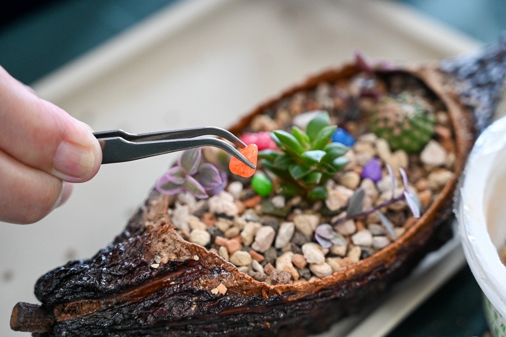 屏東可可巧克力園區半日遊 | 親子摘果體驗、可可冰淇淋&多肉療癒植栽DIY,可可覓境咖啡廳 濃濃可可冰沙、可可風味套餐,屏東旅遊景點半日遊! - 第39張圖 屏東可可巧克力園區半日遊 | 親子摘果體驗、可可冰淇淋&多肉療癒植栽DIY,可可覓境咖啡廳 濃濃可可冰沙、可可風味套餐,屏東旅遊景點半日遊!