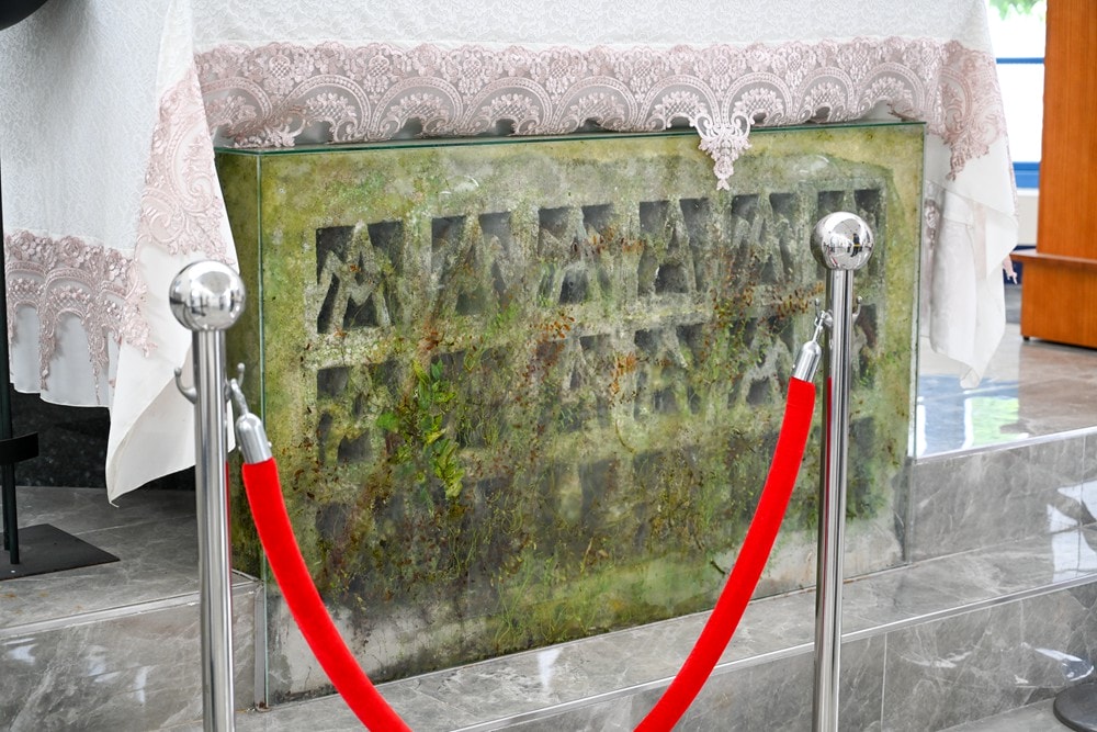 屏東可可巧克力園區半日遊 | 親子摘果體驗、可可冰淇淋&多肉療癒植栽DIY,可可覓境咖啡廳 濃濃可可冰沙、可可風味套餐,屏東旅遊景點半日遊! - 第15張圖 屏東可可巧克力園區半日遊 | 親子摘果體驗、可可冰淇淋&多肉療癒植栽DIY,可可覓境咖啡廳 濃濃可可冰沙、可可風味套餐,屏東旅遊景點半日遊!