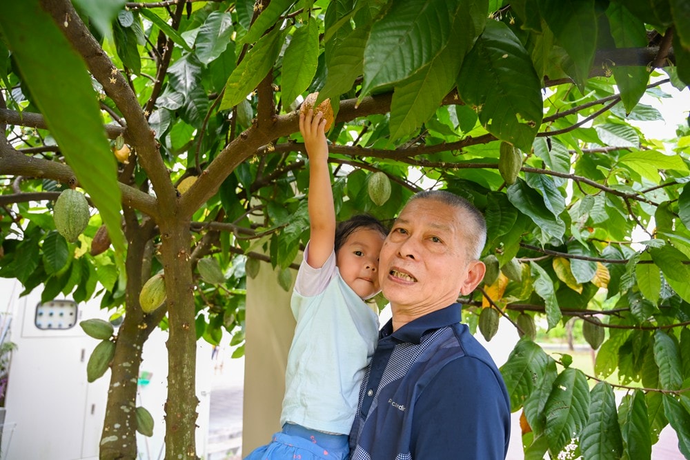 屏東可可巧克力園區半日遊 | 親子摘果體驗、可可冰淇淋&多肉療癒植栽DIY，可可覓境咖啡廳 濃濃可可冰沙、可可風味套餐，屏東旅遊景點半日遊!