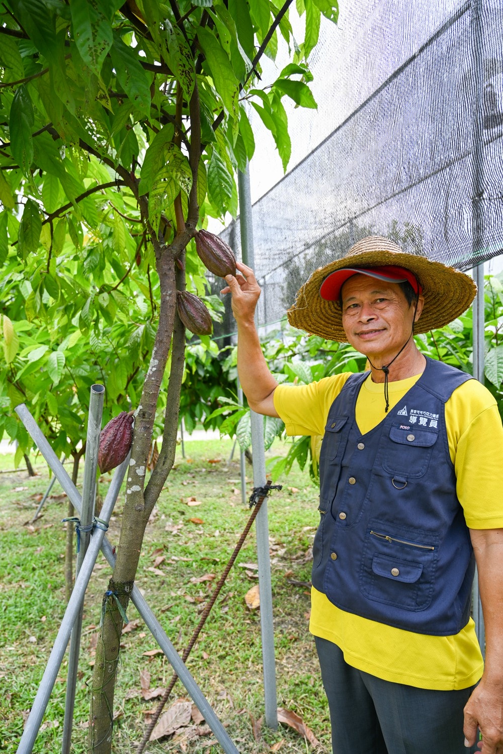 屏東可可巧克力園區半日遊 | 親子摘果體驗、可可冰淇淋&多肉療癒植栽DIY，可可覓境咖啡廳 濃濃可可冰沙、可可風味套餐，屏東旅遊景點半日遊!
