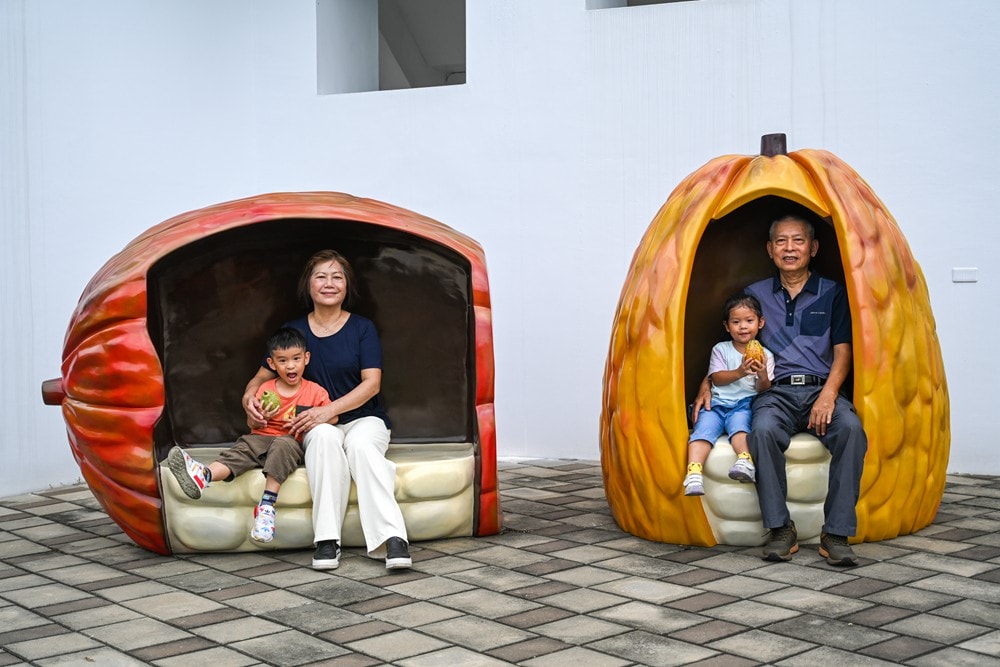 屏東可可巧克力園區半日遊 | 親子摘果體驗、可可冰淇淋&多肉療癒植栽DIY，可可覓境咖啡廳 濃濃可可冰沙、可可風味套餐，屏東旅遊景點半日遊!