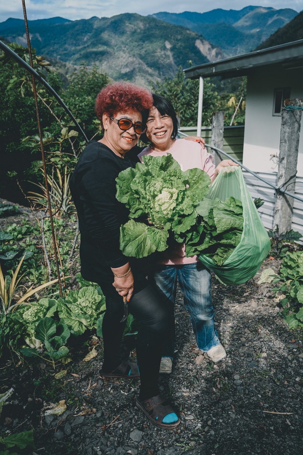 高雄桃源櫻花季開跑 寶山二集團「櫻前線」，二日遊【美拍美食景點特報】，梅園野營秘境、山籟愛玉館、南橫飲食店、梅山吊橋，一起相約賞櫻賞梅!