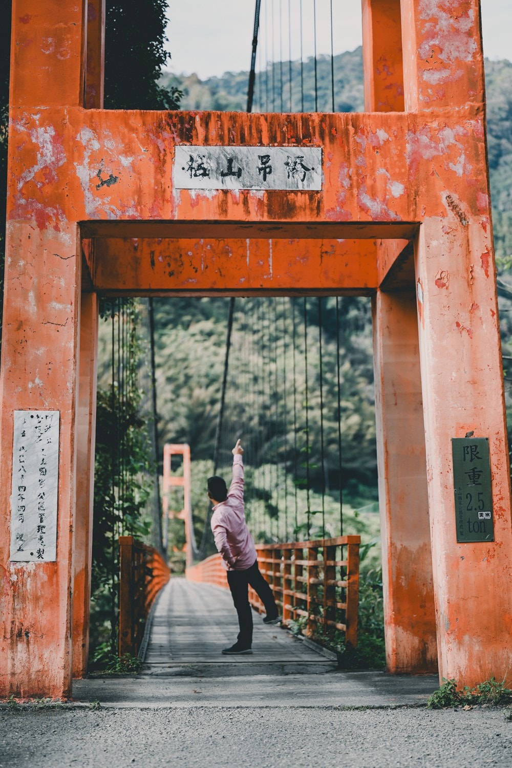高雄桃源櫻花季開跑 寶山二集團「櫻前線」，二日遊【美拍美食景點特報】，梅園野營秘境、山籟愛玉館、南橫飲食店、梅山吊橋，一起相約賞櫻賞梅!