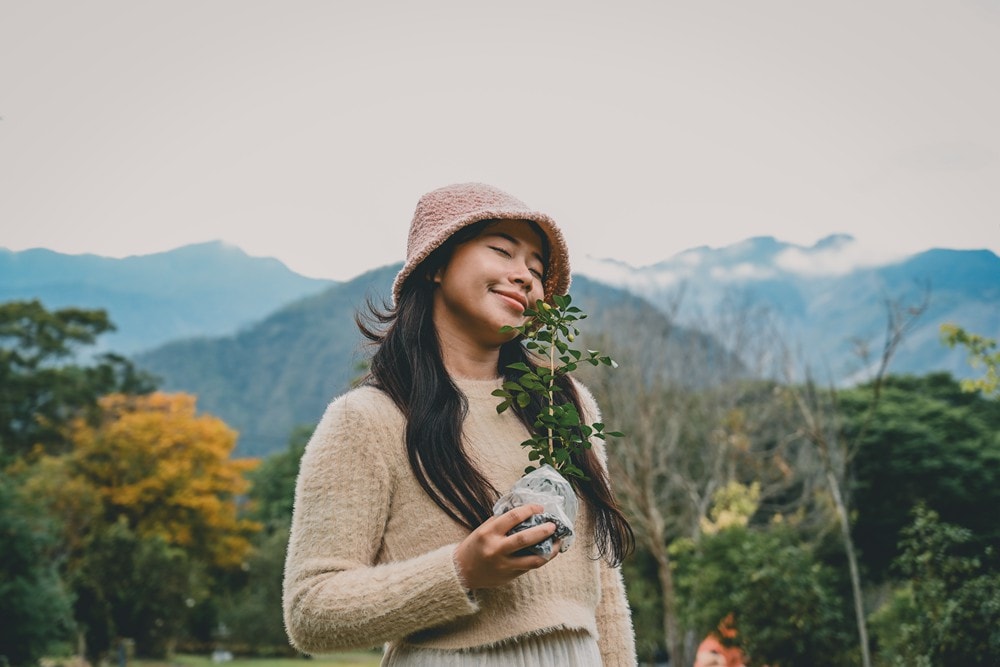 高雄桃源櫻花季開跑 寶山二集團「櫻前線」，二日遊【美拍美食景點特報】，梅園野營秘境、山籟愛玉館、南橫飲食店、梅山吊橋，一起相約賞櫻賞梅!