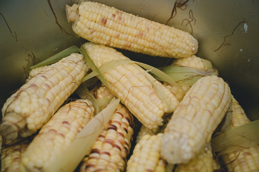 高雄美濃花海彩繪大地 賞花逛新春文創市集 ，阿弟牯阿妹妹、摩艾、凌波仙子、夢迴伯公 美拍景點，客家小炒、水磨豆花 美味私房，探訪藏金天目釉技藝 陶木漆藝術手作工坊!