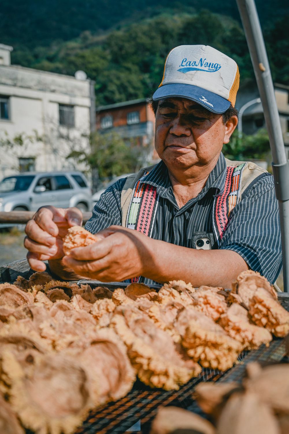 高雄桃源櫻花季開跑 寶山二集團「櫻前線」，二日遊【美拍美食景點特報】，梅園野營秘境、山籟愛玉館、南橫飲食店、梅山吊橋，一起相約賞櫻賞梅!