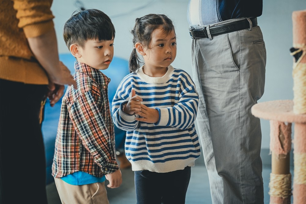 墾丁灰太狼生態教育園區，擼貓療癒館，不動的時候像布娃娃一樣，太可愛了!