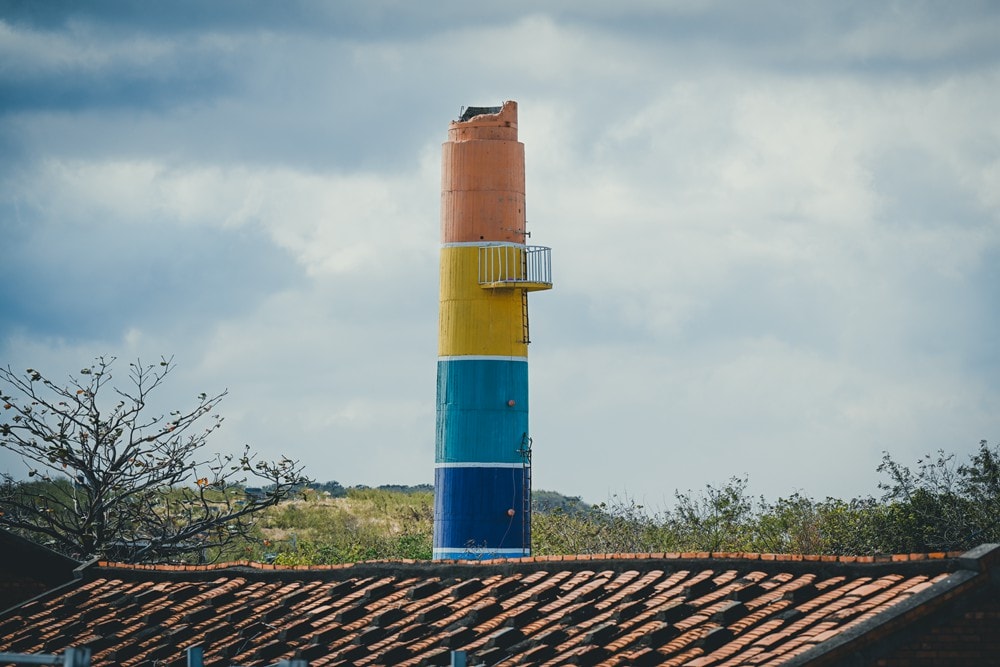 墾丁灰太狼生態教育園區，擼貓療癒館，不動的時候像布娃娃一樣，太可愛了!
