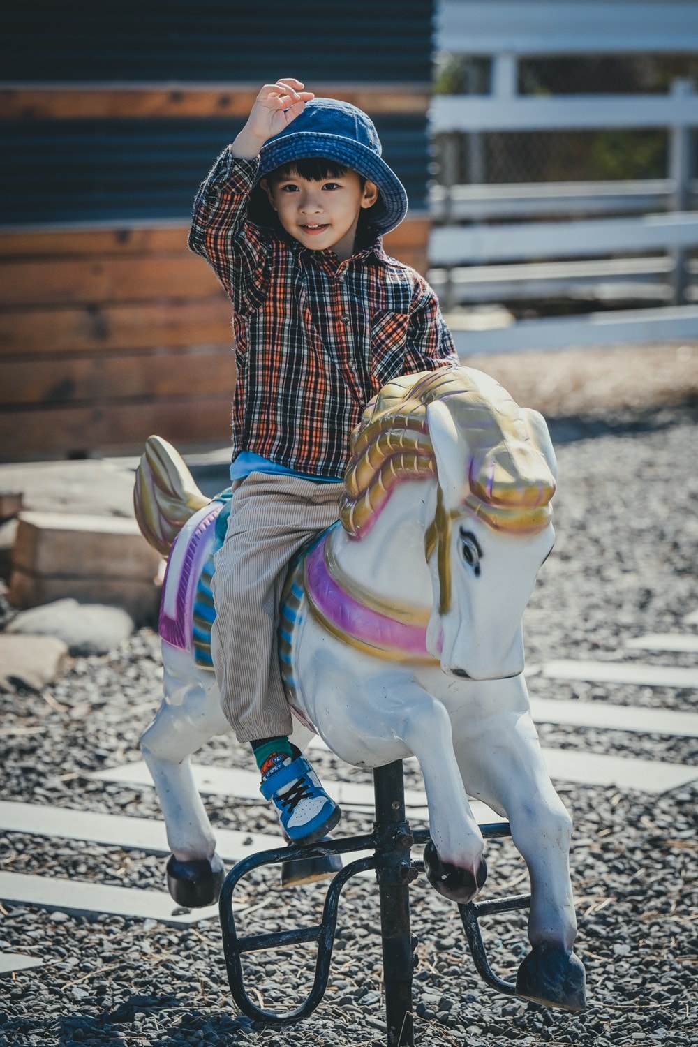 墾丁灰太狼生態教育園區，擼貓療癒館，不動的時候像布娃娃一樣，太可愛了!