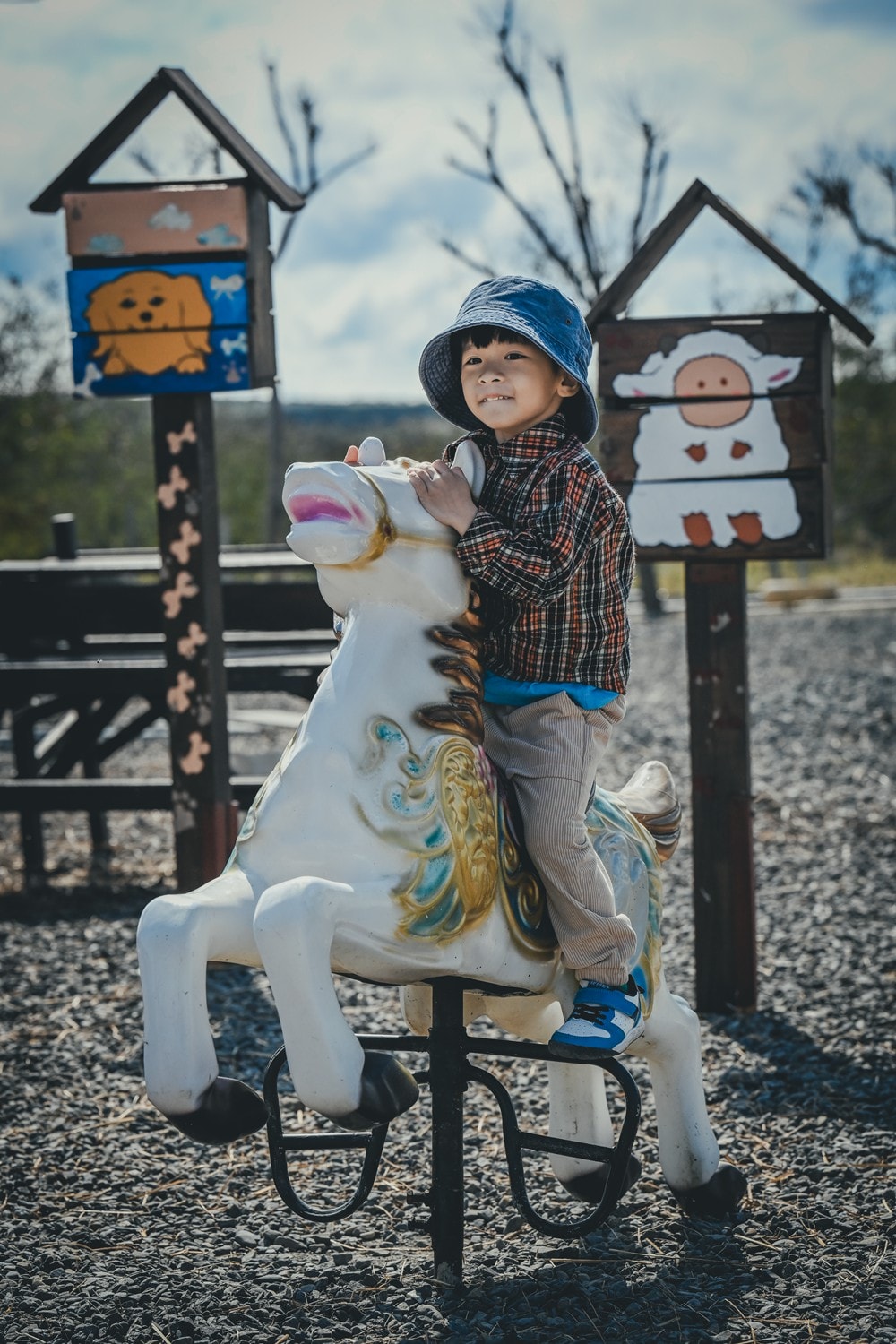 墾丁灰太狼生態教育園區，擼貓療癒館，不動的時候像布娃娃一樣，太可愛了!