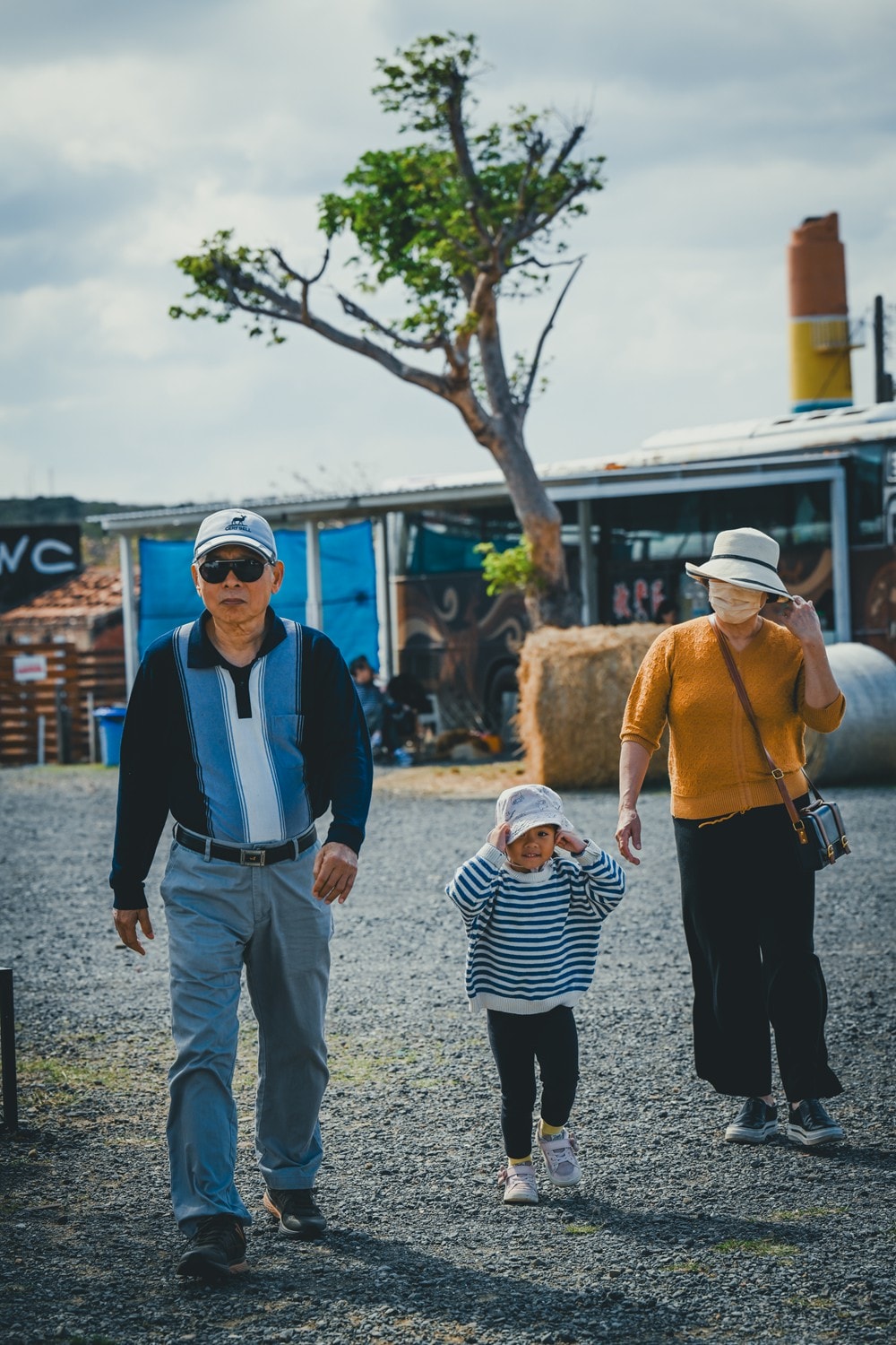 墾丁灰太狼生態教育園區，擼貓療癒館，不動的時候像布娃娃一樣，太可愛了!