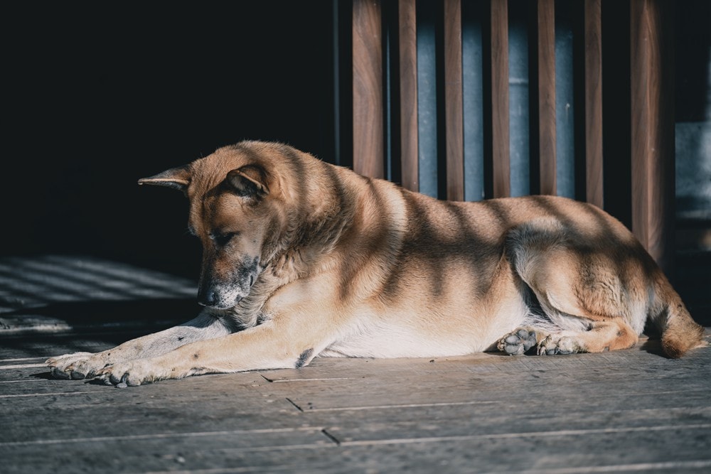 屏東車城一日遊 | 海口看海美術館吹落山風，四重溪悠客馬場騎馬趣，孩子們的戶外旅行體驗!