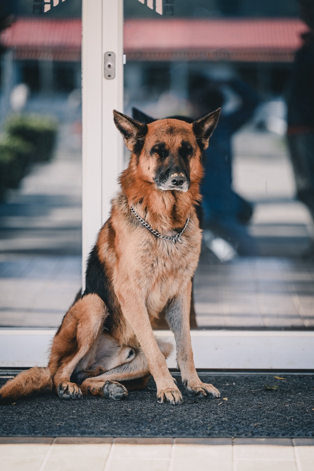 屏東車城一日遊 | 海口看海美術館吹落山風，四重溪悠客馬場騎馬趣，孩子們的戶外旅行體驗!