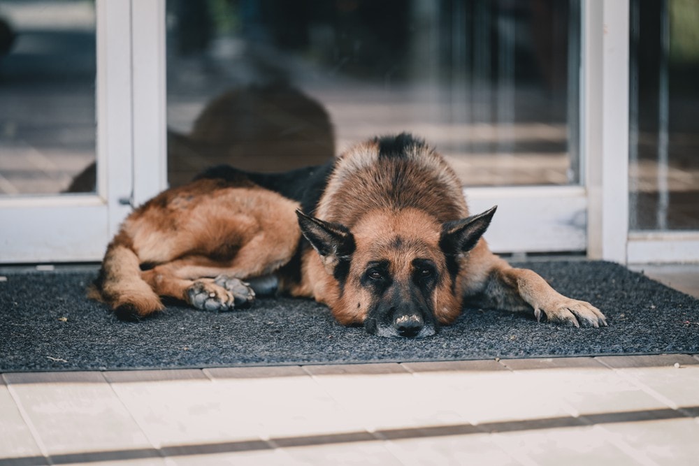 屏東車城一日遊 | 海口看海美術館吹落山風，四重溪悠客馬場騎馬趣，孩子們的戶外旅行體驗!