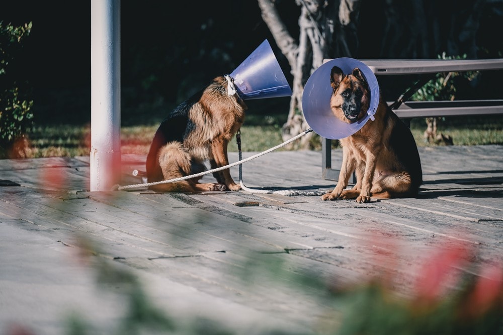 屏東車城一日遊 | 海口看海美術館吹落山風，四重溪悠客馬場騎馬趣，孩子們的戶外旅行體驗!