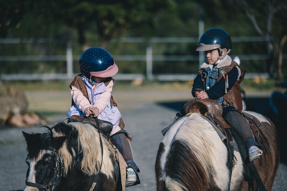 屏東車城一日遊 | 海口看海美術館吹落山風，四重溪悠客馬場騎馬趣，孩子們的戶外旅行體驗!