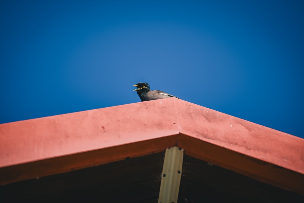 屏東車城一日遊 | 海口看海美術館吹落山風，四重溪悠客馬場騎馬趣，孩子們的戶外旅行體驗!