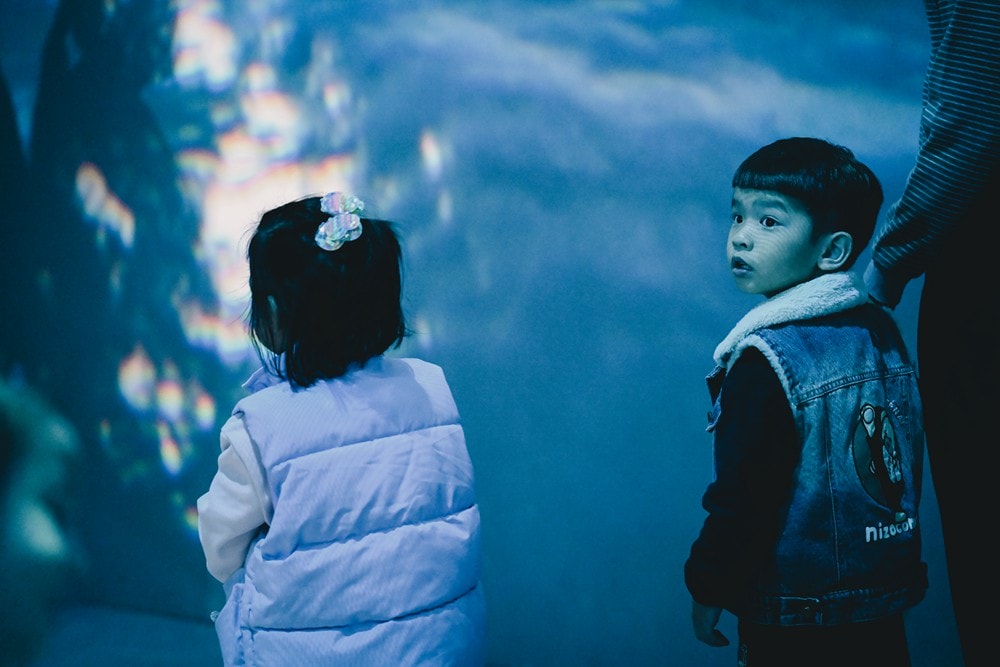 屏東車城一日遊 | 海口看海美術館吹落山風，四重溪悠客馬場騎馬趣，孩子們的戶外旅行體驗!