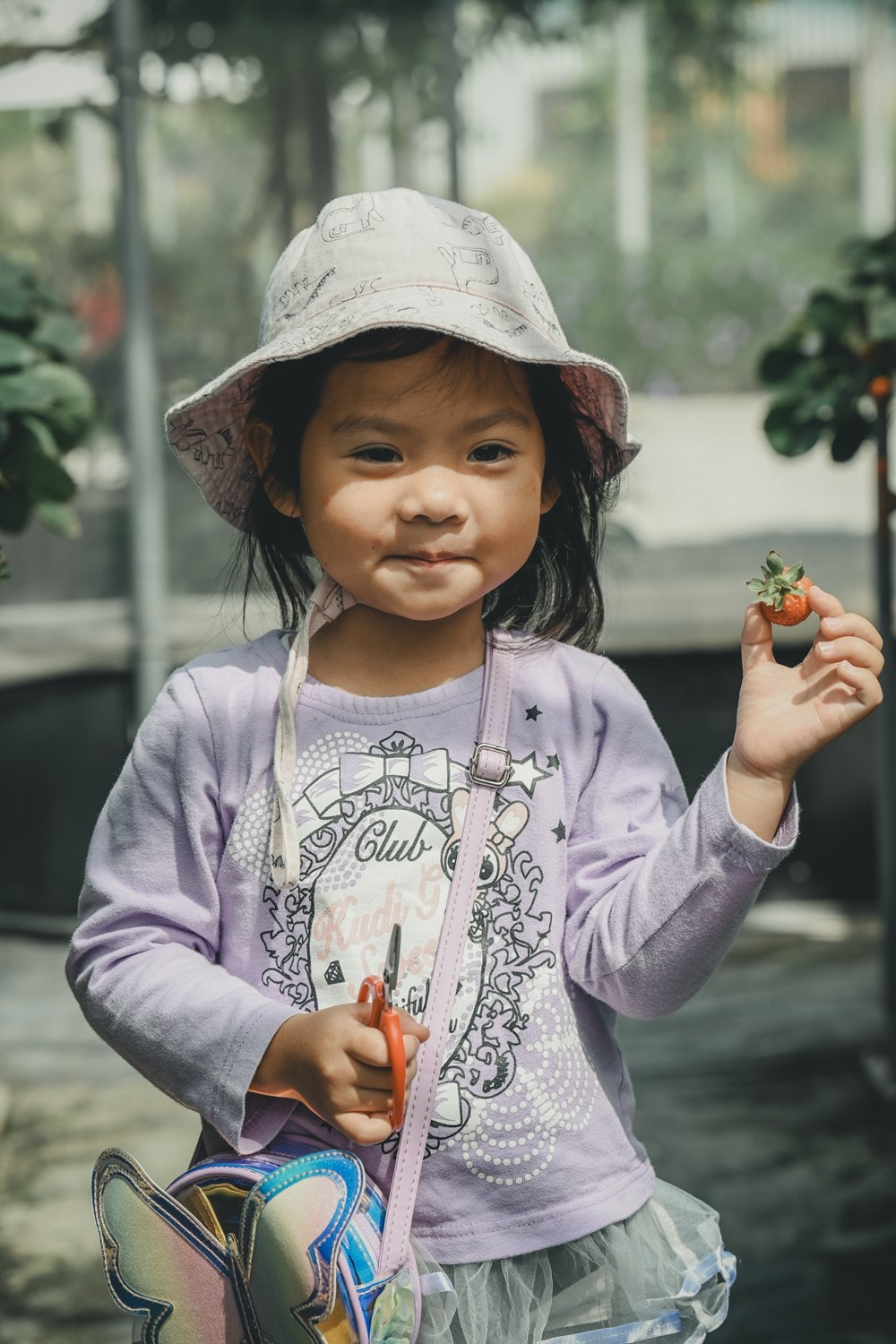 屏東內埔可以採草莓? 仙子草莓園 網室栽培、有機無毒草莓，一年一度採果樂開跑!
