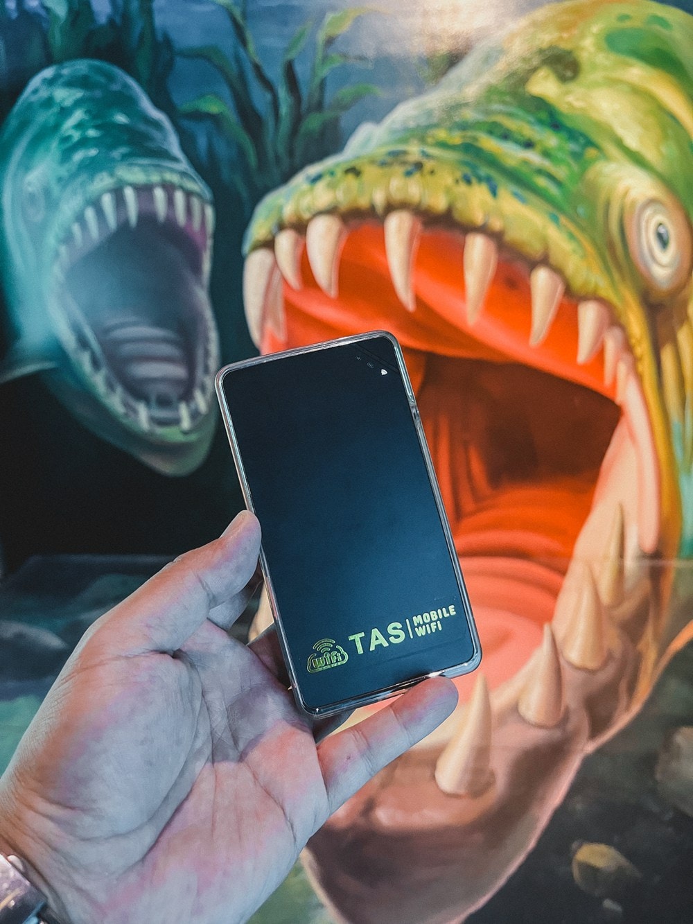 韓國五天四夜自由行，我選擇TAS MOBILE WIFI，讓旅行無後顧之憂，讀者優惠 期間限定!