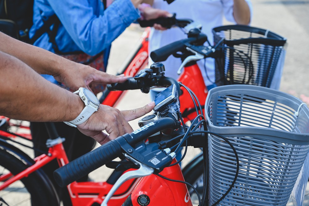 東港&大鵬灣｜冬日小旅行 建議行程，在海口城鎮中，感受東港的人文、海味與自然之美!
