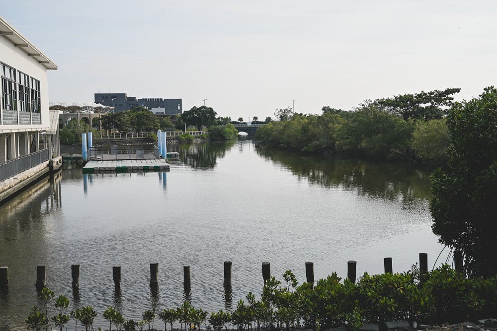 東港&大鵬灣|冬日小旅行 建議行程,在海口城鎮中,感受東港的人文、海味與自然之美! - 第74張圖 東港&大鵬灣|冬日小旅行 建議行程,在海口城鎮中,感受東港的人文、海味與自然之美!