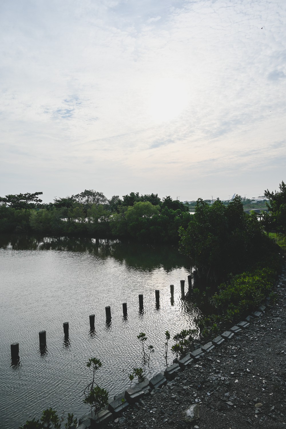 東港&大鵬灣|冬日小旅行 建議行程,在海口城鎮中,感受東港的人文、海味與自然之美! - 第113張圖 東港&大鵬灣|冬日小旅行 建議行程,在海口城鎮中,感受東港的人文、海味與自然之美!
