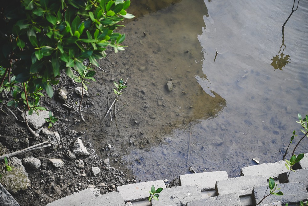 東港&大鵬灣｜冬日小旅行 建議行程，在海口城鎮中，感受東港的人文、海味與自然之美!