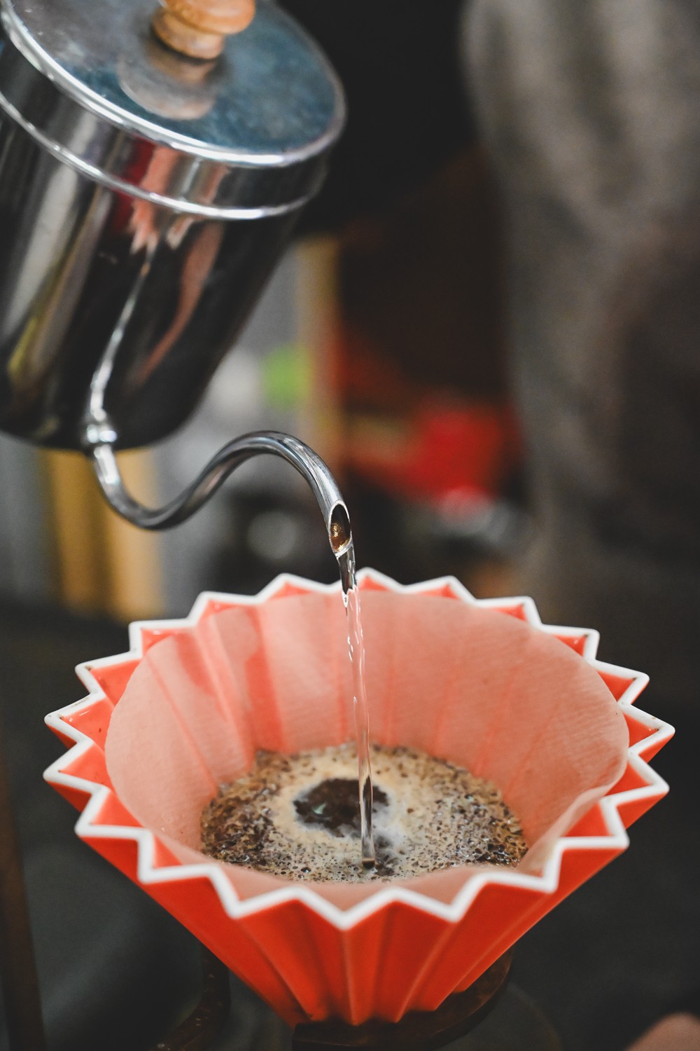 東港&大鵬灣｜冬日小旅行 建議行程，在海口城鎮中，感受東港的人文、海味與自然之美!