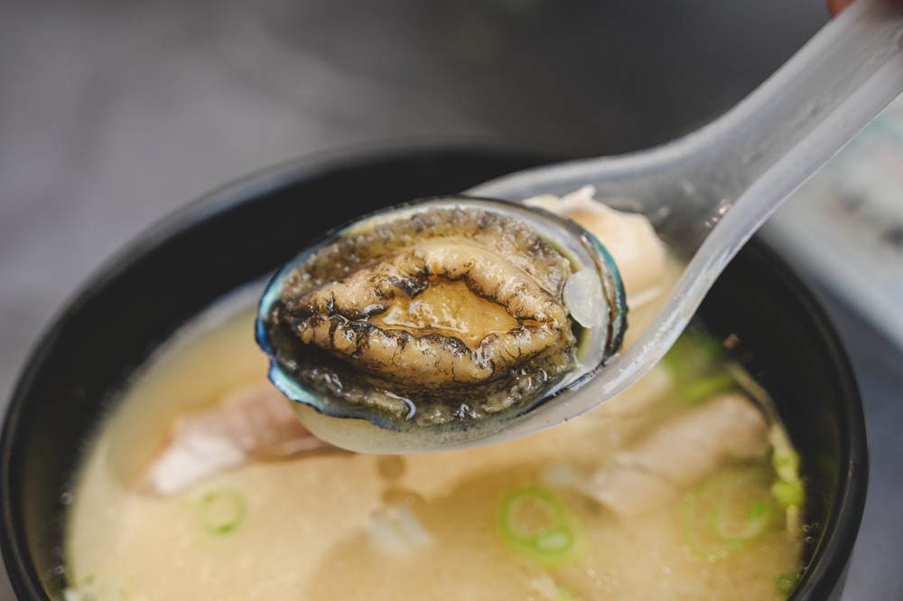 東港&大鵬灣｜冬日小旅行 建議行程，在海口城鎮中，感受東港的人文、海味與自然之美!