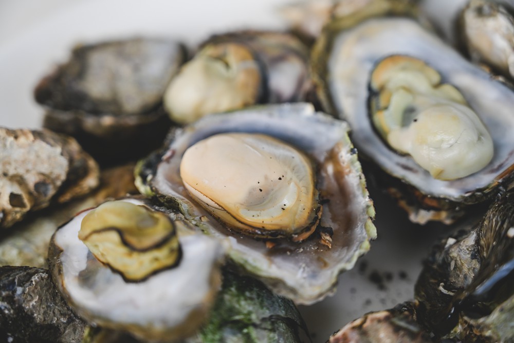 東港&大鵬灣|冬日小旅行 建議行程,在海口城鎮中,感受東港的人文、海味與自然之美! - 第90張圖 東港&大鵬灣|冬日小旅行 建議行程,在海口城鎮中,感受東港的人文、海味與自然之美!