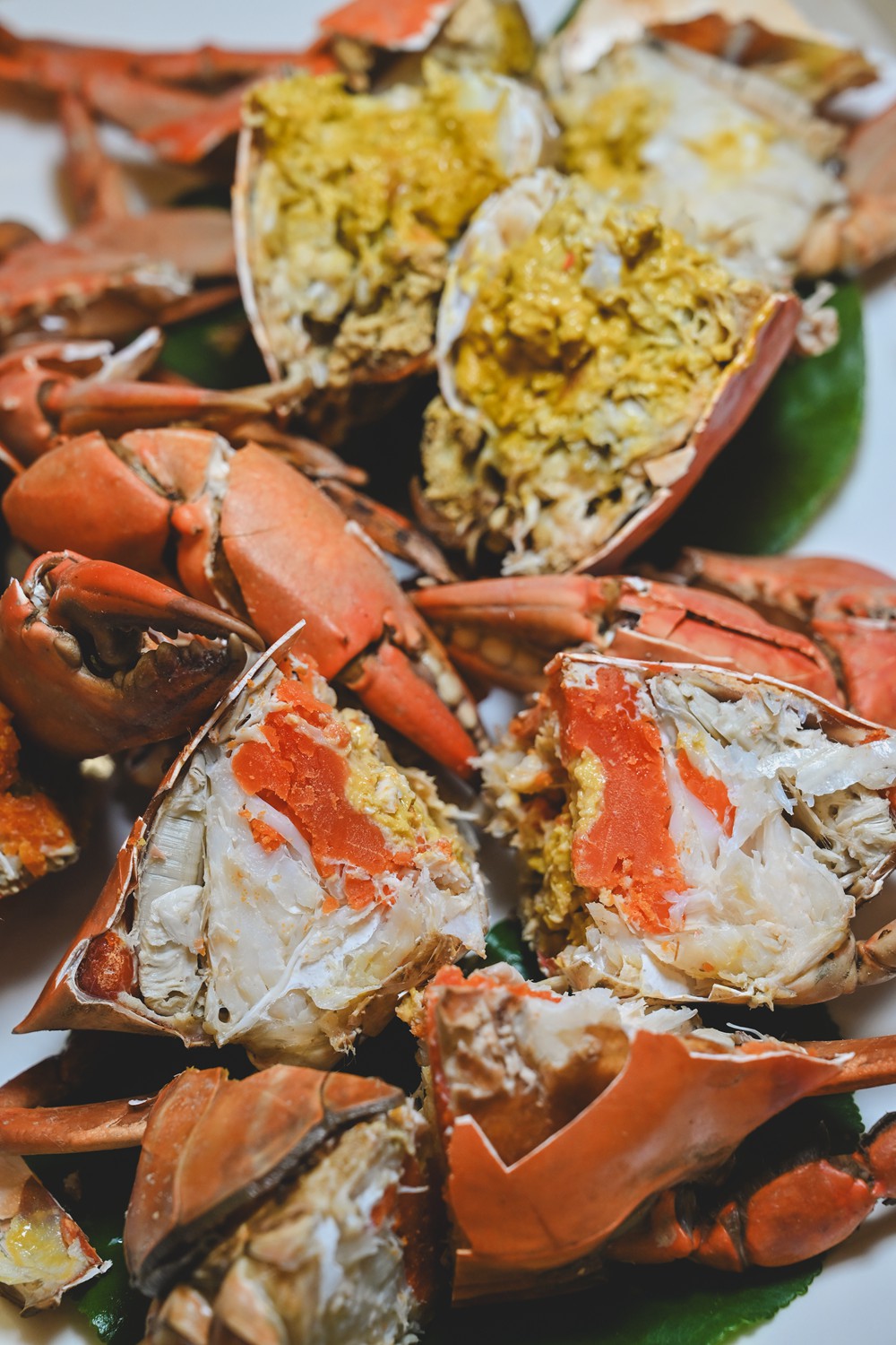 東港&大鵬灣｜冬日小旅行 建議行程，在海口城鎮中，感受東港的人文、海味與自然之美!