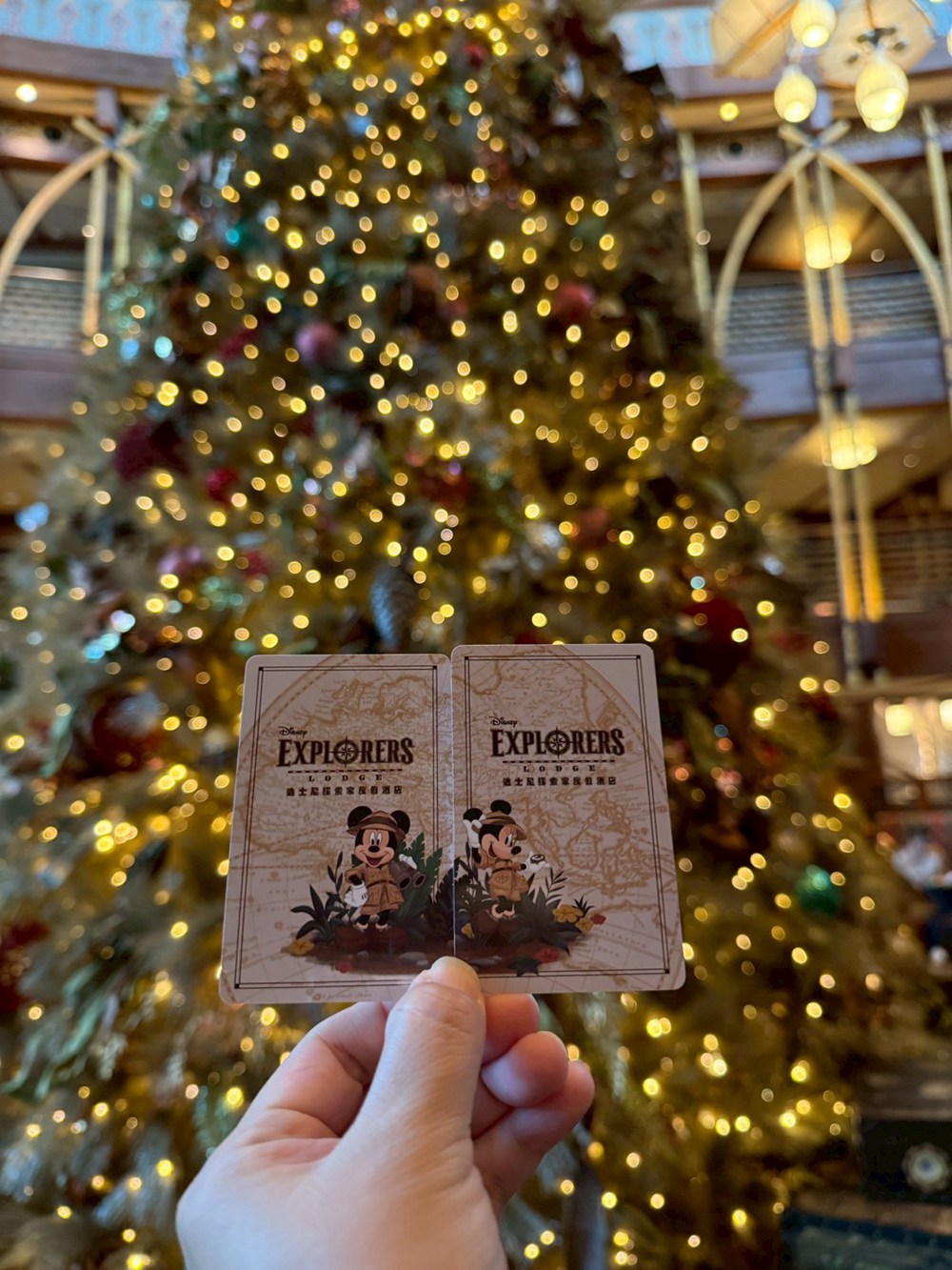 TAS MOBILE WIFI × 香港迪士尼 20 週年  最輕鬆、最省心的 2025 必玩攻略！